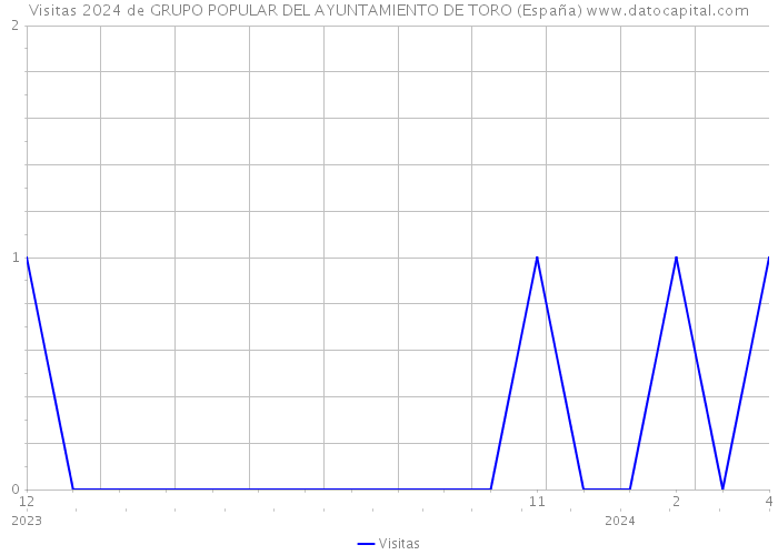Visitas 2024 de GRUPO POPULAR DEL AYUNTAMIENTO DE TORO (España) 