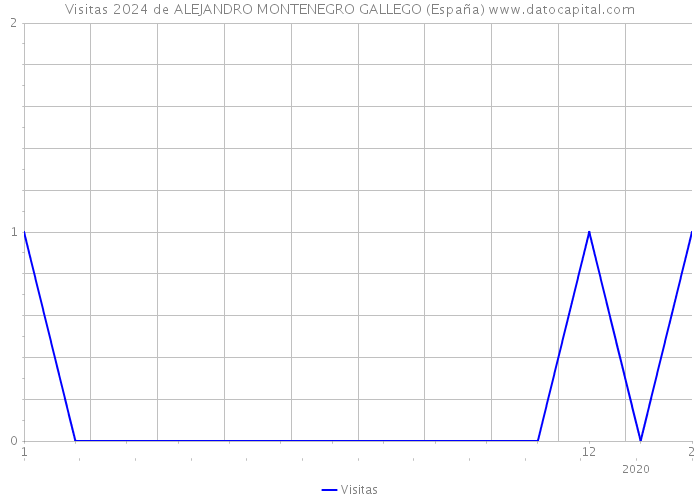 Visitas 2024 de ALEJANDRO MONTENEGRO GALLEGO (España) 
