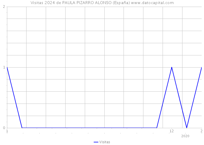 Visitas 2024 de PAULA PIZARRO ALONSO (España) 