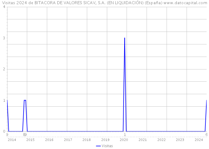 Visitas 2024 de BITACORA DE VALORES SICAV, S.A. (EN LIQUIDACIÓN) (España) 