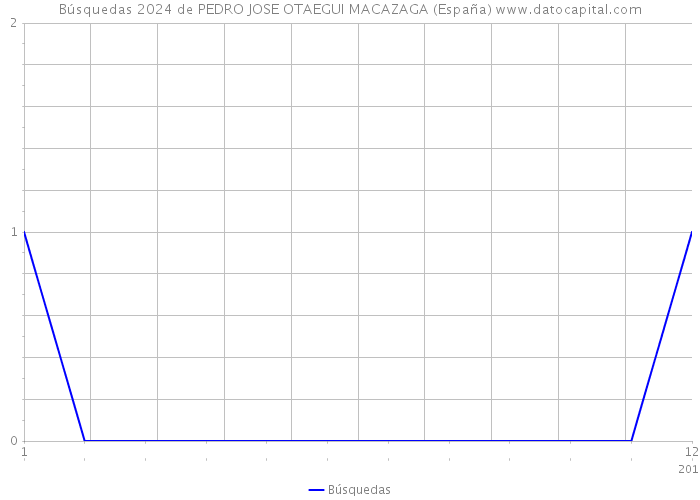 Búsquedas 2024 de PEDRO JOSE OTAEGUI MACAZAGA (España) 