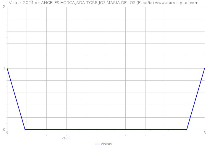 Visitas 2024 de ANGELES HORCAJADA TORRIJOS MARIA DE LOS (España) 