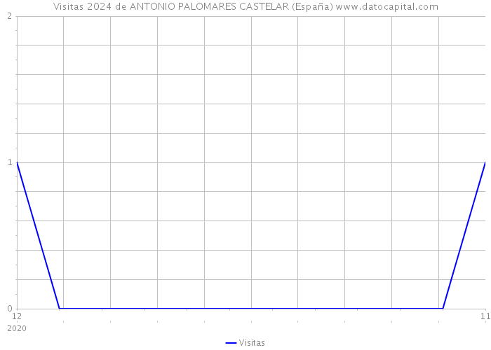 Visitas 2024 de ANTONIO PALOMARES CASTELAR (España) 