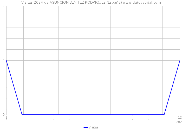 Visitas 2024 de ASUNCION BENITEZ RODRIGUEZ (España) 