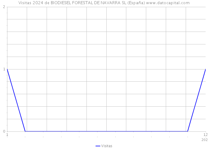 Visitas 2024 de BIODIESEL FORESTAL DE NAVARRA SL (España) 