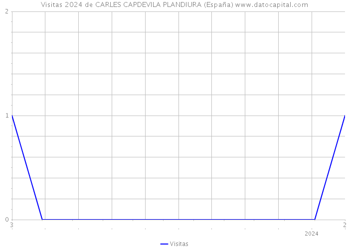 Visitas 2024 de CARLES CAPDEVILA PLANDIURA (España) 