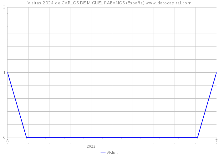 Visitas 2024 de CARLOS DE MIGUEL RABANOS (España) 