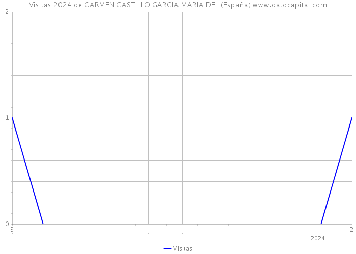 Visitas 2024 de CARMEN CASTILLO GARCIA MARIA DEL (España) 