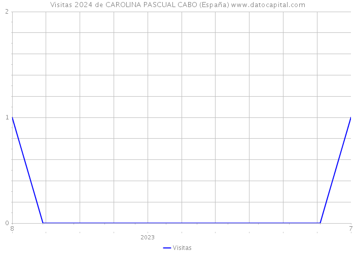 Visitas 2024 de CAROLINA PASCUAL CABO (España) 