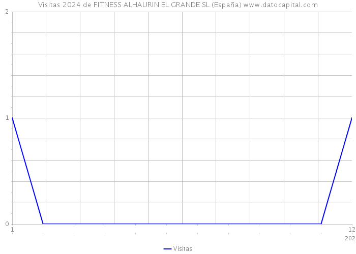 Visitas 2024 de FITNESS ALHAURIN EL GRANDE SL (España) 