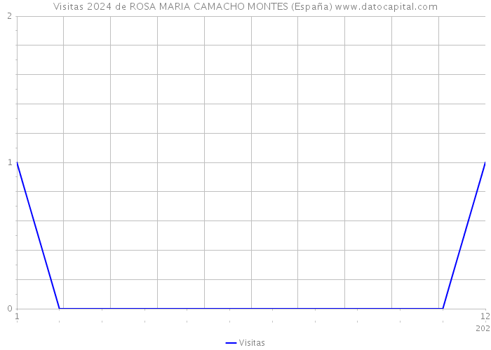 Visitas 2024 de ROSA MARIA CAMACHO MONTES (España) 