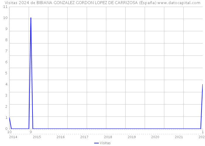 Visitas 2024 de BIBIANA GONZALEZ GORDON LOPEZ DE CARRIZOSA (España) 