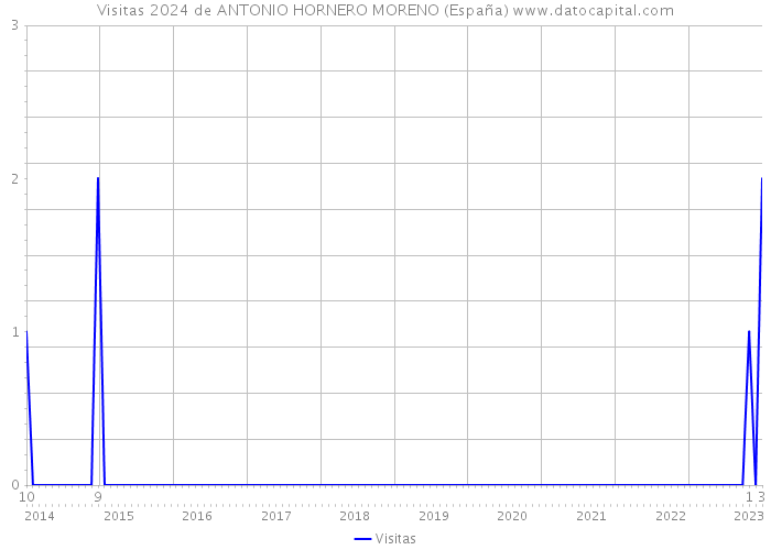 Visitas 2024 de ANTONIO HORNERO MORENO (España) 