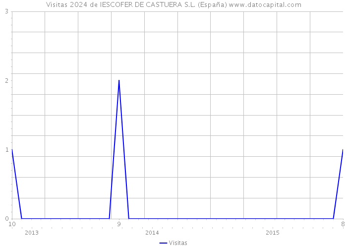 Visitas 2024 de IESCOFER DE CASTUERA S.L. (España) 
