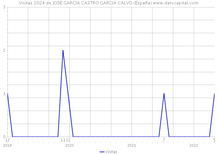 Visitas 2024 de JOSE GARCIA CASTRO GARCIA CALVO (España) 