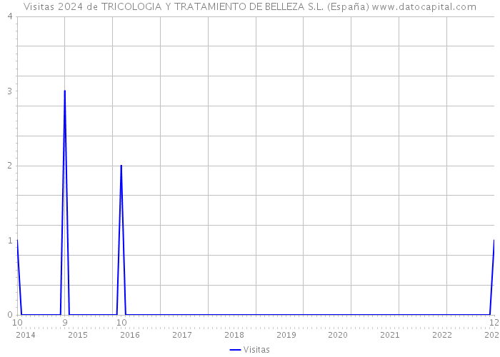 Visitas 2024 de TRICOLOGIA Y TRATAMIENTO DE BELLEZA S.L. (España) 