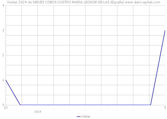 Visitas 2024 de NIEVES COBOS CASTRO MARIA LEONOR DE LAS (España) 