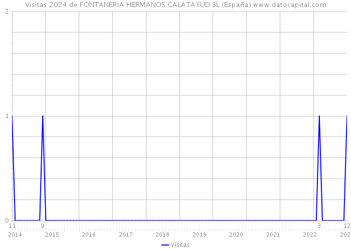 Visitas 2024 de FONTANERIA HERMANOS CALATAYUD SL (España) 