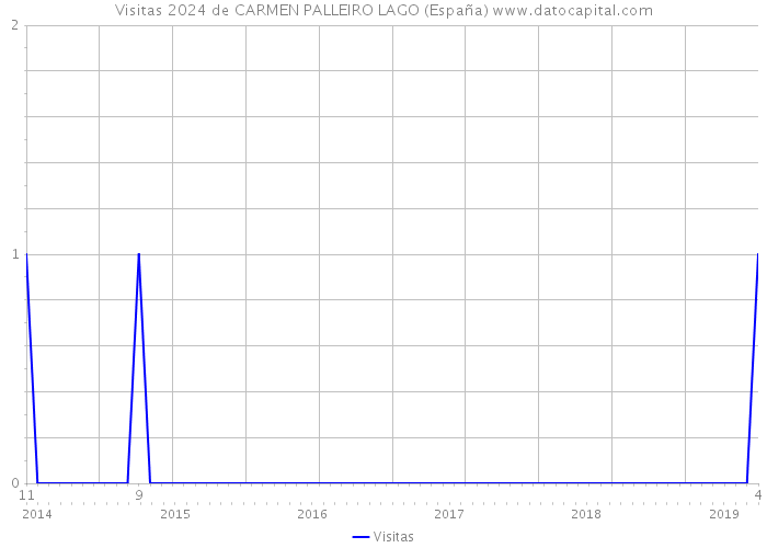 Visitas 2024 de CARMEN PALLEIRO LAGO (España) 