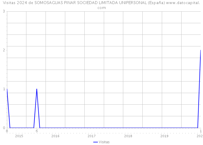 Visitas 2024 de SOMOSAGUAS PINAR SOCIEDAD LIMITADA UNIPERSONAL (España) 