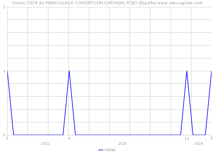 Visitas 2024 de INMACULADA CONCEPCION CARVAJAL ROJO (España) 