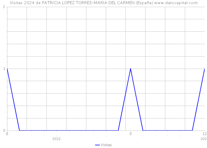 Visitas 2024 de PATRICIA LOPEZ TORRES-MARIA DEL CARMEN (España) 