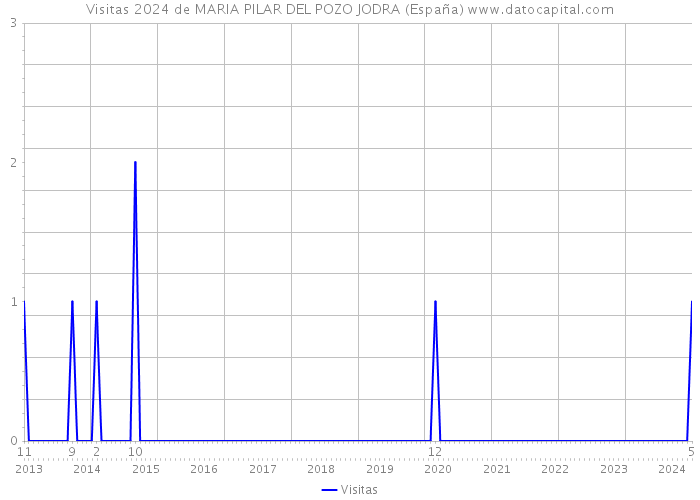 Visitas 2024 de MARIA PILAR DEL POZO JODRA (España) 
