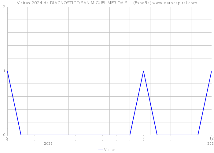 Visitas 2024 de DIAGNOSTICO SAN MIGUEL MERIDA S.L. (España) 