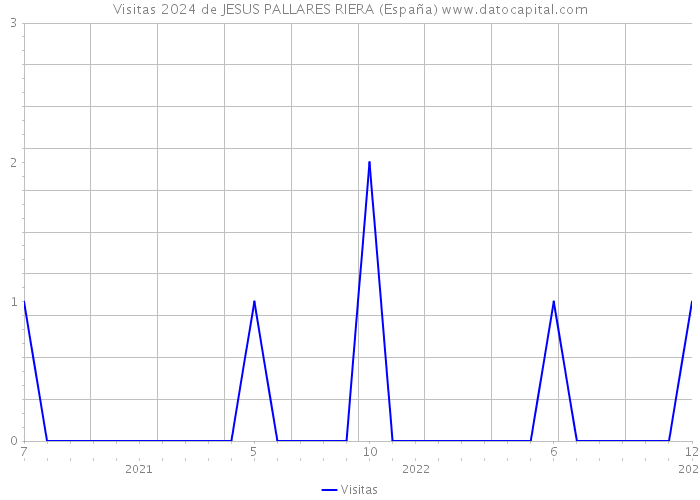 Visitas 2024 de JESUS PALLARES RIERA (España) 