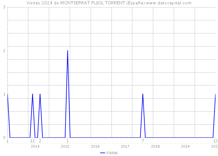 Visitas 2024 de MONTSERRAT PUJOL TORRENT (España) 