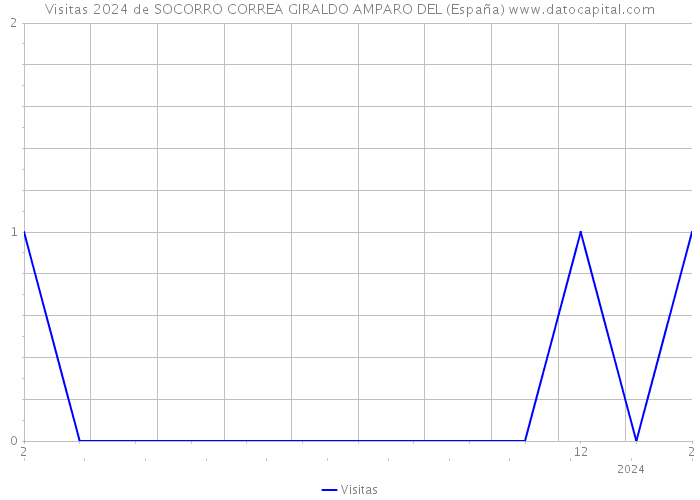 Visitas 2024 de SOCORRO CORREA GIRALDO AMPARO DEL (España) 