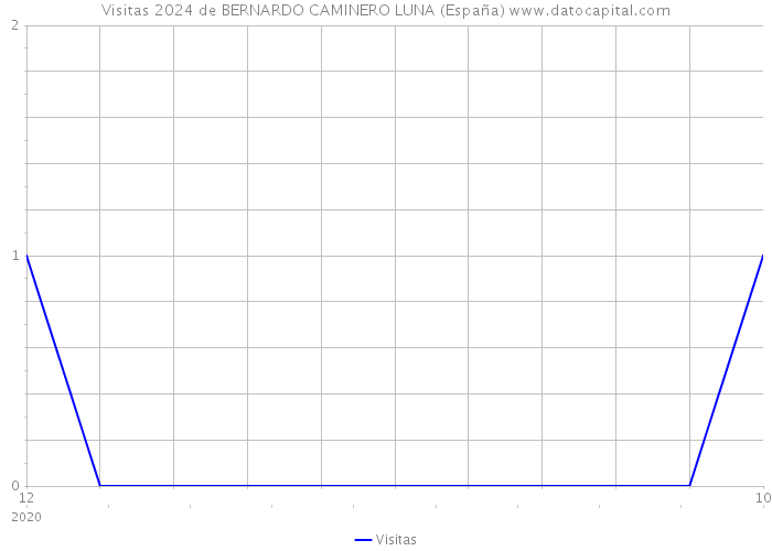 Visitas 2024 de BERNARDO CAMINERO LUNA (España) 