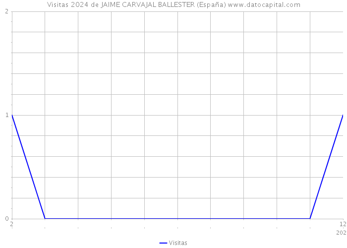 Visitas 2024 de JAIME CARVAJAL BALLESTER (España) 