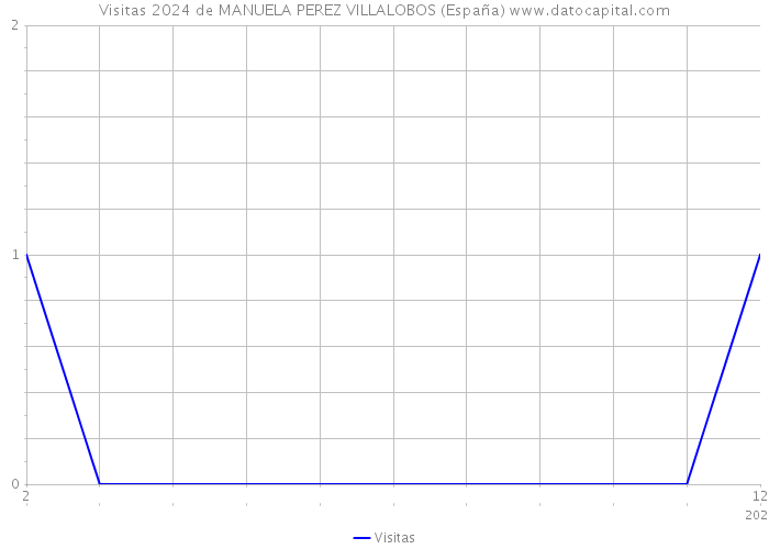 Visitas 2024 de MANUELA PEREZ VILLALOBOS (España) 