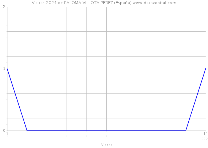 Visitas 2024 de PALOMA VILLOTA PEREZ (España) 