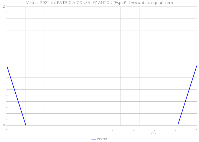 Visitas 2024 de PATRICIA GONZALEZ ANTON (España) 