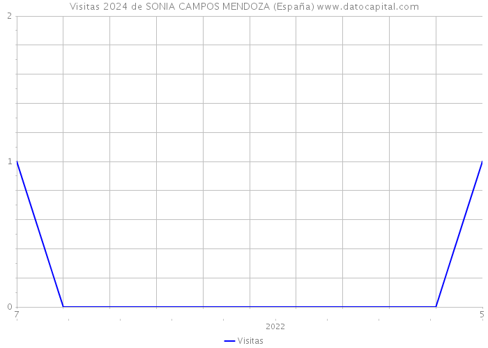 Visitas 2024 de SONIA CAMPOS MENDOZA (España) 