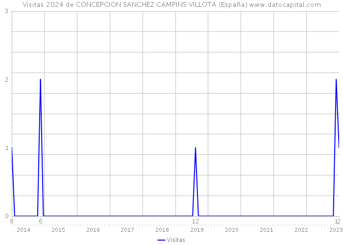 Visitas 2024 de CONCEPCION SANCHEZ CAMPINS VILLOTA (España) 