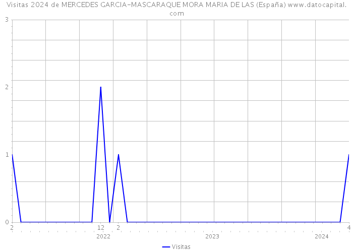 Visitas 2024 de MERCEDES GARCIA-MASCARAQUE MORA MARIA DE LAS (España) 