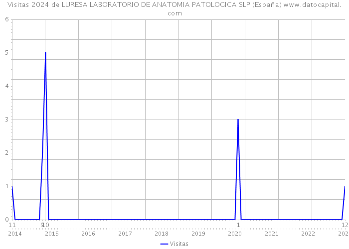 Visitas 2024 de LURESA LABORATORIO DE ANATOMIA PATOLOGICA SLP (España) 