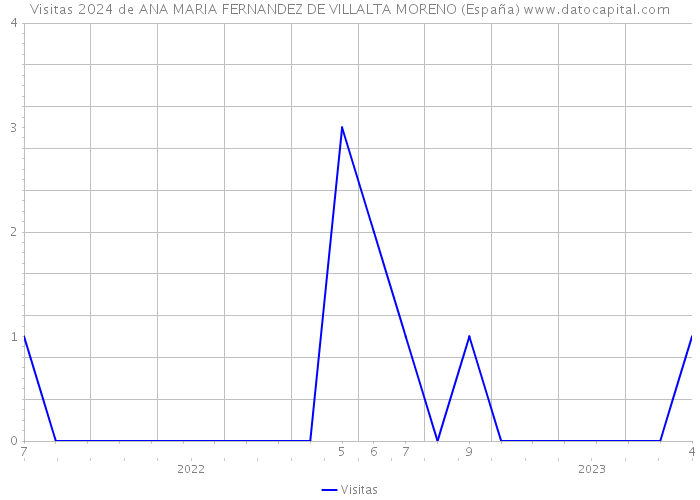 Visitas 2024 de ANA MARIA FERNANDEZ DE VILLALTA MORENO (España) 