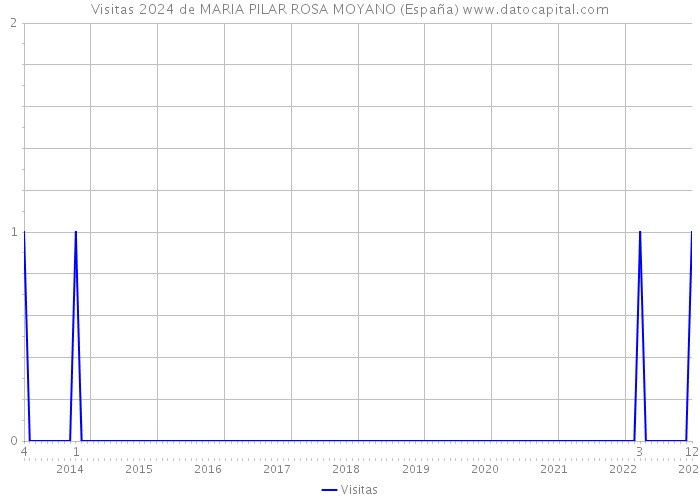 Visitas 2024 de MARIA PILAR ROSA MOYANO (España) 