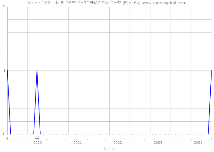 Visitas 2024 de FLORES CARDENAS SANCHEZ (España) 