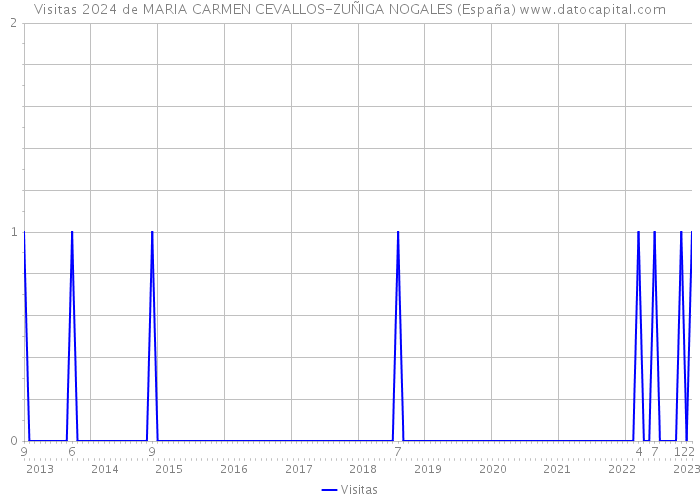 Visitas 2024 de MARIA CARMEN CEVALLOS-ZUÑIGA NOGALES (España) 