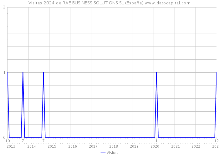 Visitas 2024 de RAE BUSINESS SOLUTIONS SL (España) 