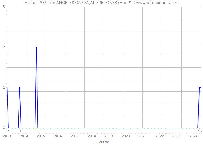 Visitas 2024 de ANGELES CARVAJAL BRETONES (España) 
