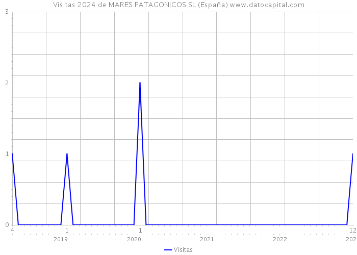 Visitas 2024 de MARES PATAGONICOS SL (España) 