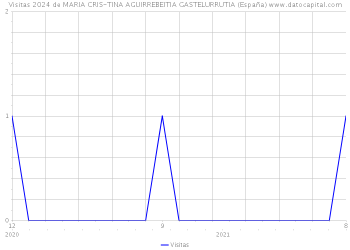 Visitas 2024 de MARIA CRIS-TINA AGUIRREBEITIA GASTELURRUTIA (España) 