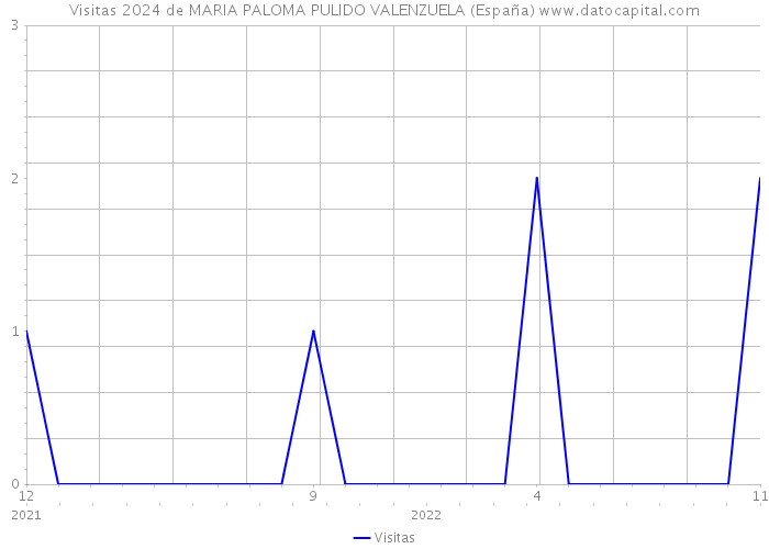 Visitas 2024 de MARIA PALOMA PULIDO VALENZUELA (España) 