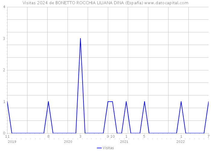 Visitas 2024 de BONETTO ROCCHIA LILIANA DINA (España) 